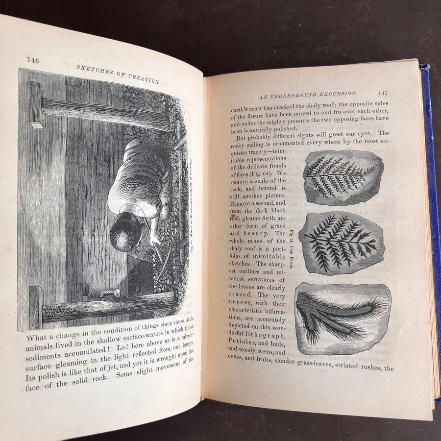 1872 - Sketches of Creation: A Popular View of Some of the Grand Conclusions of the Sciences in Reference to The History of Matter and of Life.