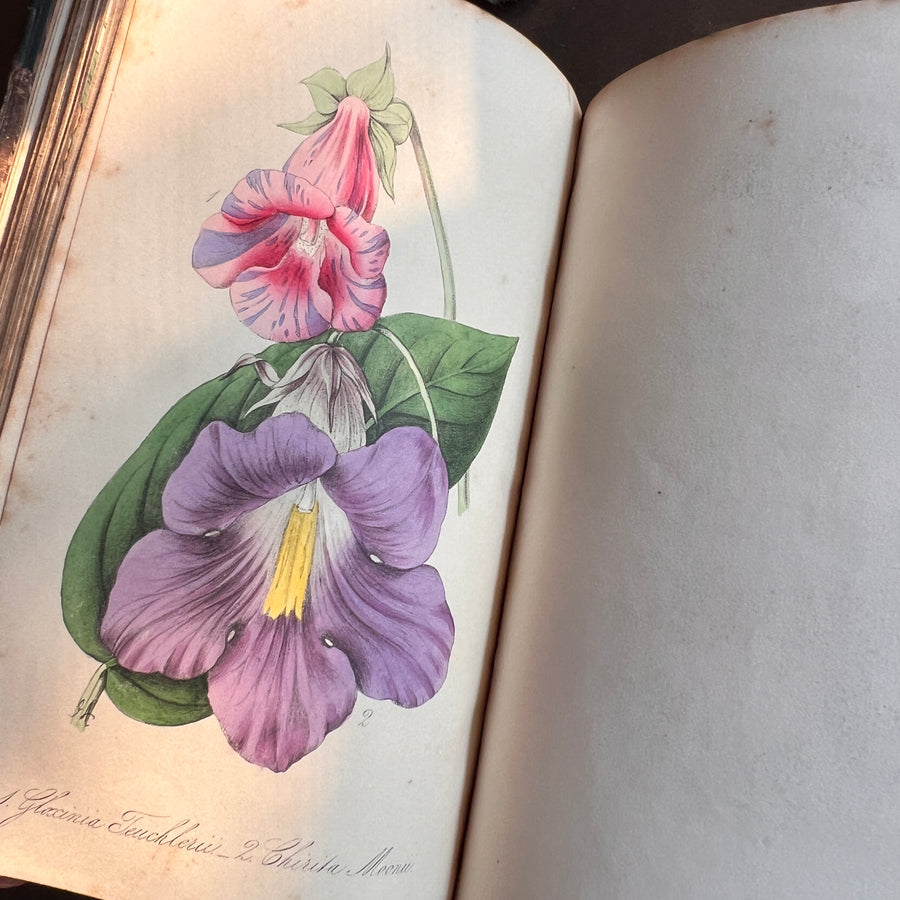 Floricultural Cabinet Book and Florist’s Magazine (1848) | With Hand-Colored Plates