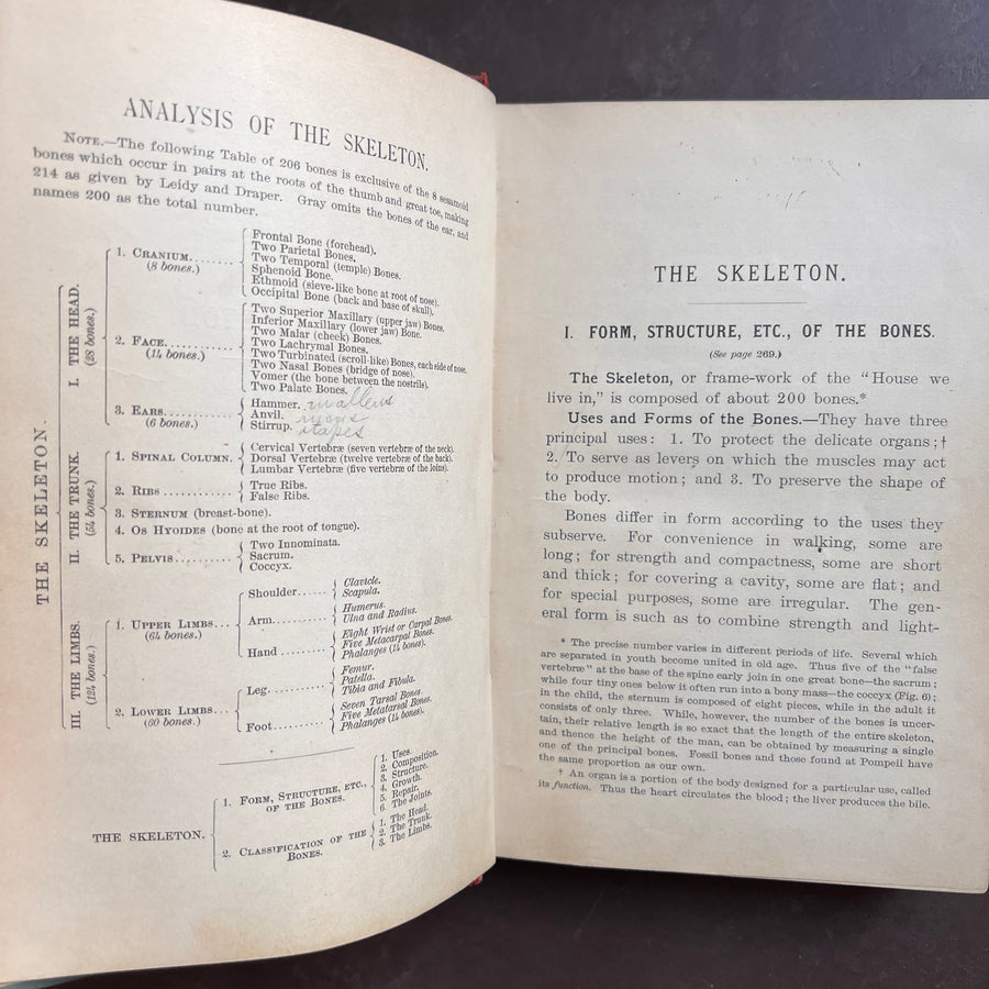 1888 - Hygienic Physiology; WIth Special Reference To The Use of Alcoholic Drinks and Narcotics