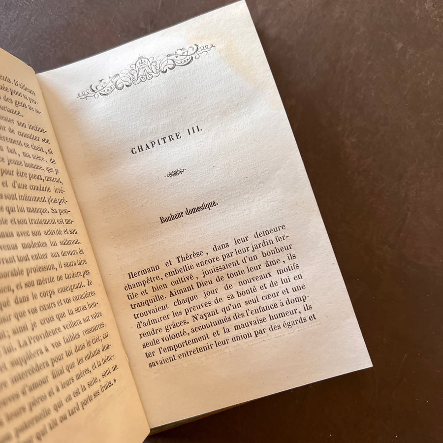 La Guirlande de Houblon, 1859 | Antique French Cartonnage Book