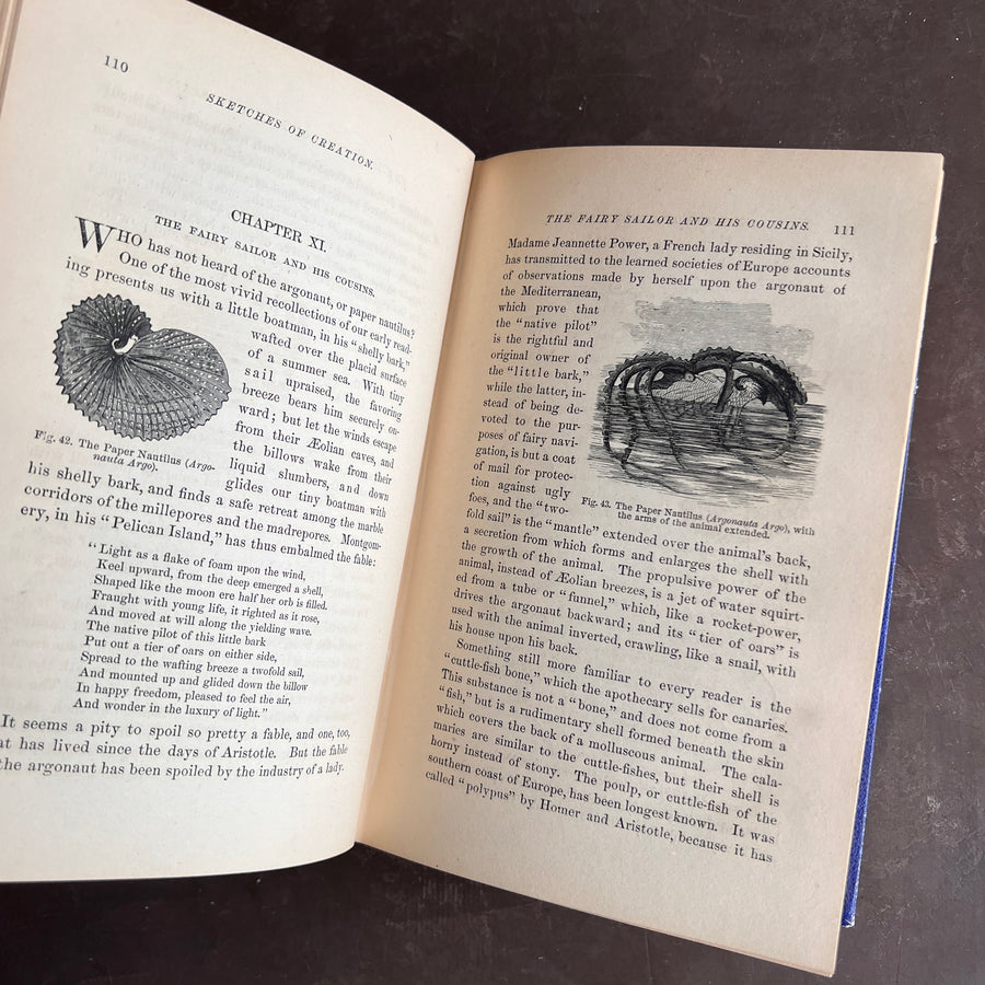 1872 - Sketches of Creation: A Popular View of Some of the Grand Conclusions of the Sciences in Reference to The History of Matter and of Life.