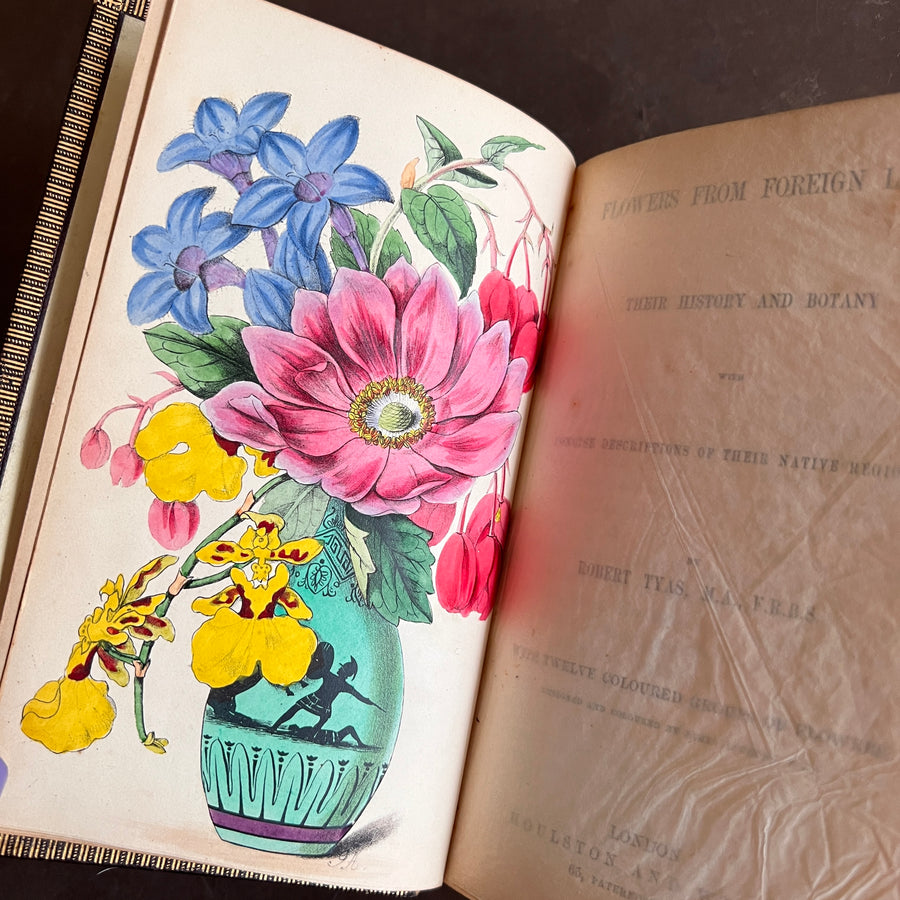 c.1853 - Flowers From Foreign Lands; Their History and Botany