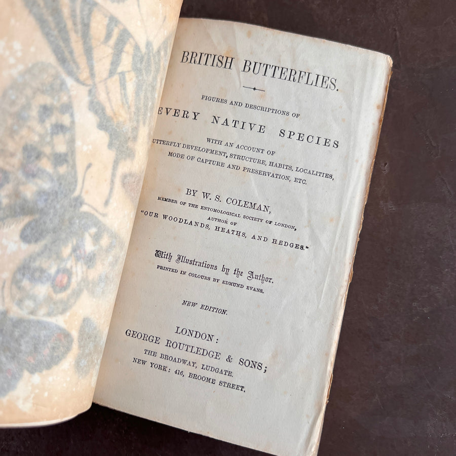 British Butterflies; Figures and Descriptions of Every Native Species by W.S. Coleman (c.1870s-1880s)