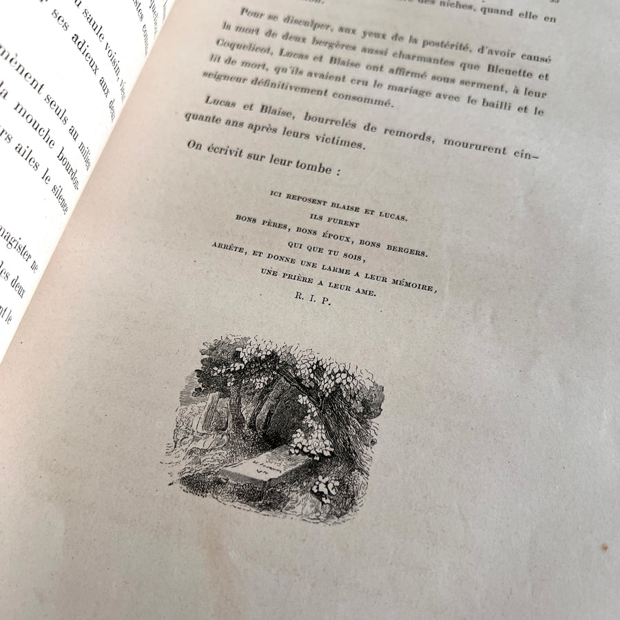 1867 Les Fleurs Animées – Grandville’s Botanical Anthropomorphism Masterpiece l 2-Volumes