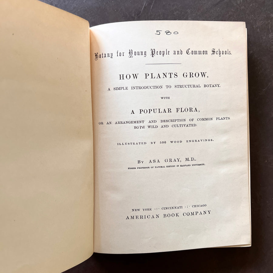 1858 - Botany For Young People and Common Scholls; How Plants Grow. How Plants Grow, A Simple Introduction To Structural Botany, With A Popular Flora, Or An Arrangement and Description Of Common Plants Both Wild and Cultivated.