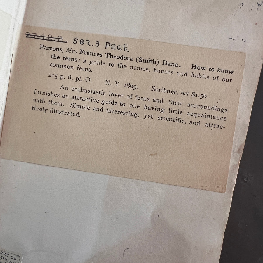 How To Know The Ferns: A Guide to the Names, Haunts, and Habits of Our Common Ferns by Frances Theodora Parsons | Illustrated | 1899