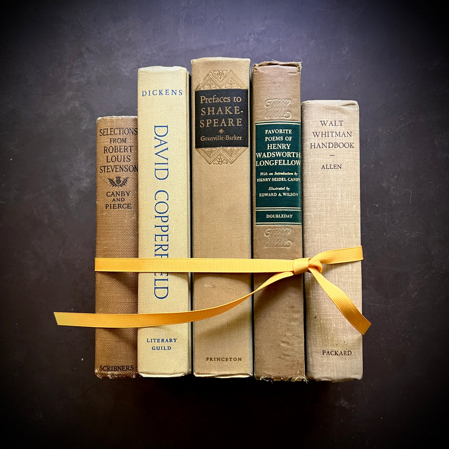 Beige Neutral Literature Vintage Stack