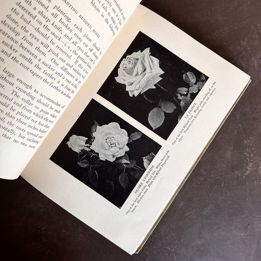 1915 - Roses and How to Grow Them; A Manual for Growing Roses in the Garden and Under Glass
