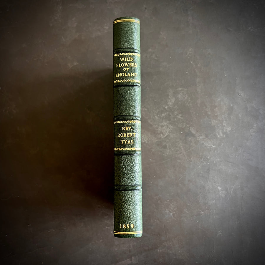 The Wild Flowers of England (1859) | With Hand-Painted Plates
