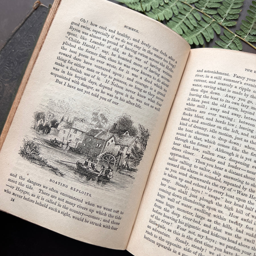 c.1859 - The Country Year Book: Descriptive of the Seasons, Rural Scenes and Rustic Amusements; Birds, Insects, and Quadrupeds