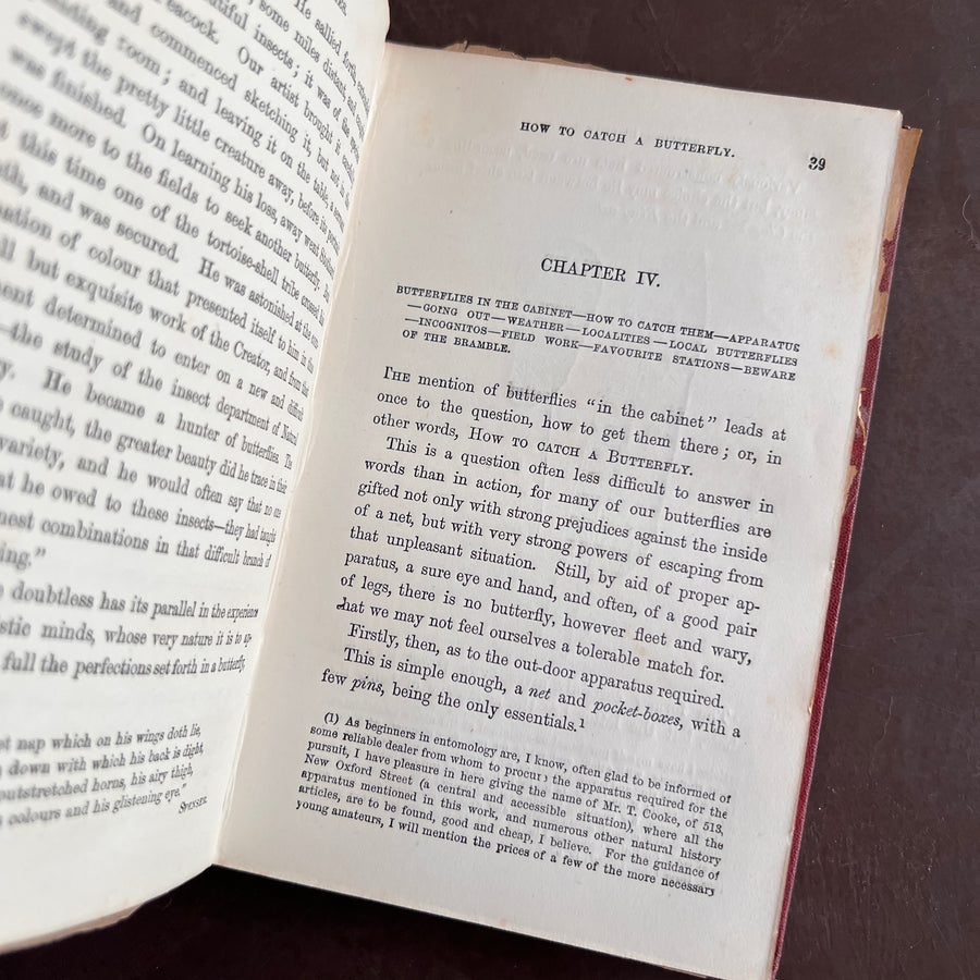 British Butterflies; Figures and Descriptions of Every Native Species by W.S. Coleman (c.1870s-1880s)