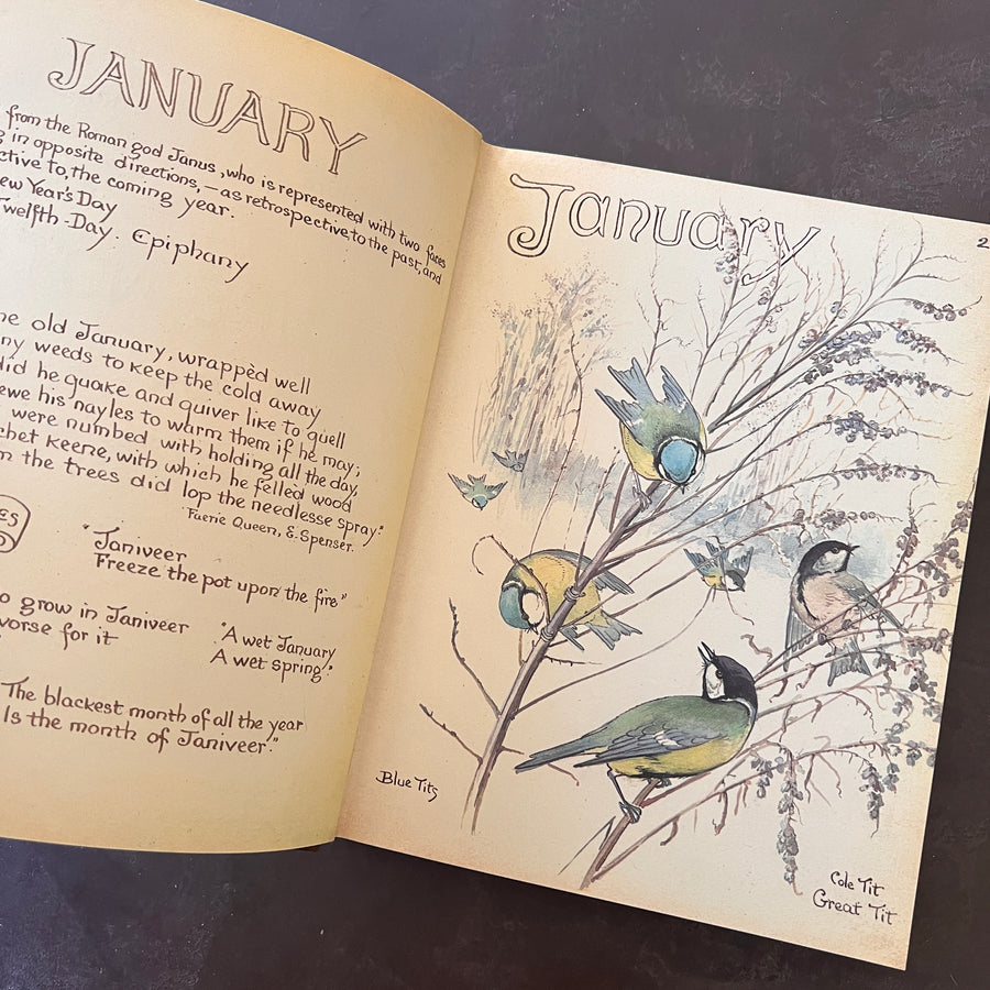The Country Diary of An Edwardian Lady by Edith Holden, (1979) | Illustrated Nature Diary
