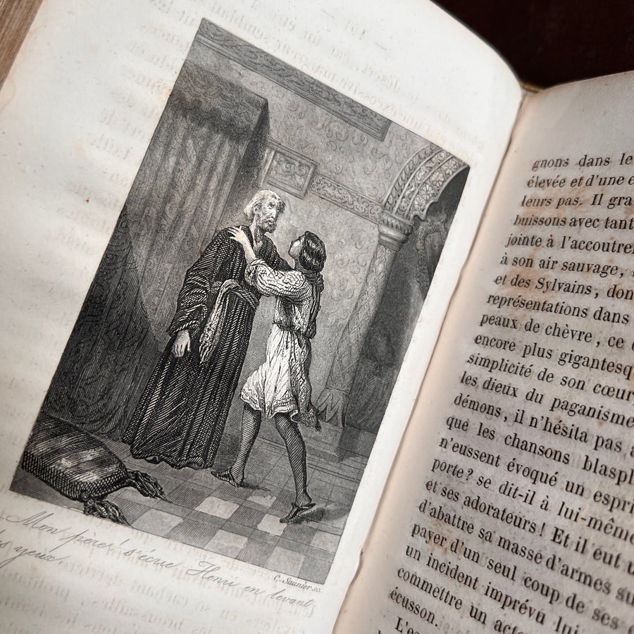 Henri de Lusignan ou L’Anneau de Richard Coeur-de-Lion (1852) | Ornate Cartonnage Romantique Binding with Hand-Colored Floral Design