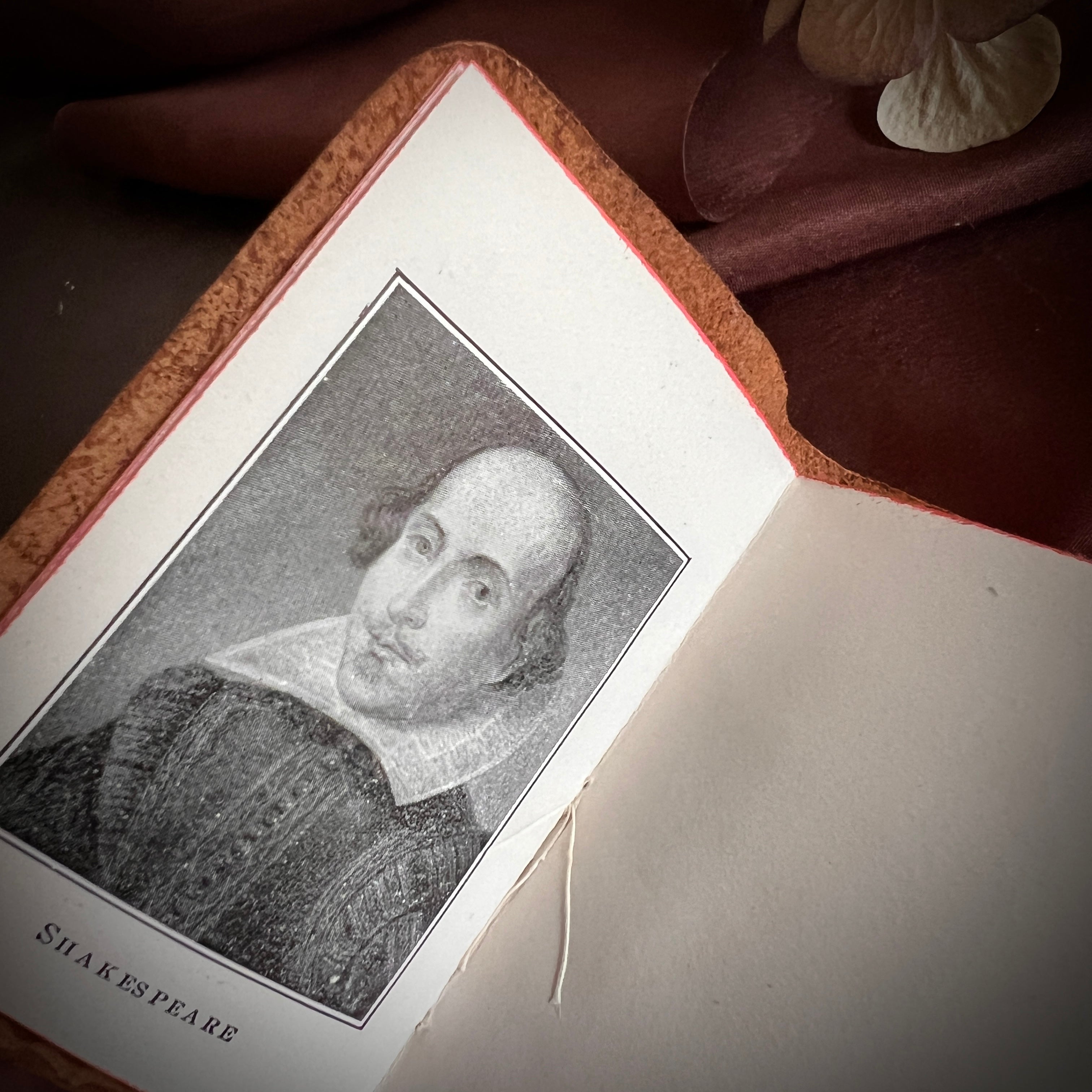 ☆未使用オールド商品Shakespeare◆1409-165 William Shakespeare — Miniature Works (24-Volume Set in Original