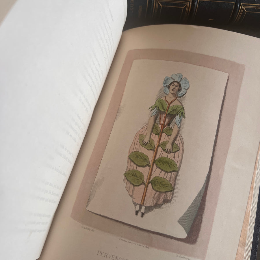 1867 Les Fleurs Animées – Grandville’s Botanical Anthropomorphism Masterpiece l 2-Volumes