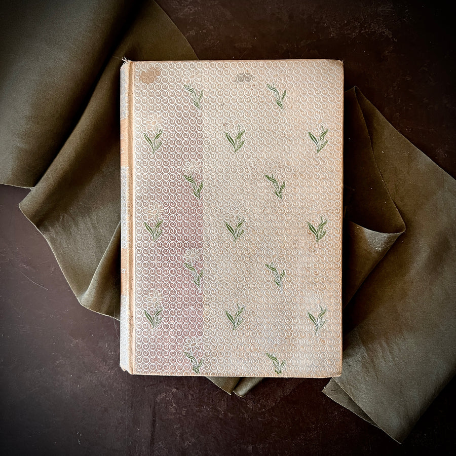 The Heroes; or, Greek Fairy Tales by Charles Kingsley | Henry Altemus