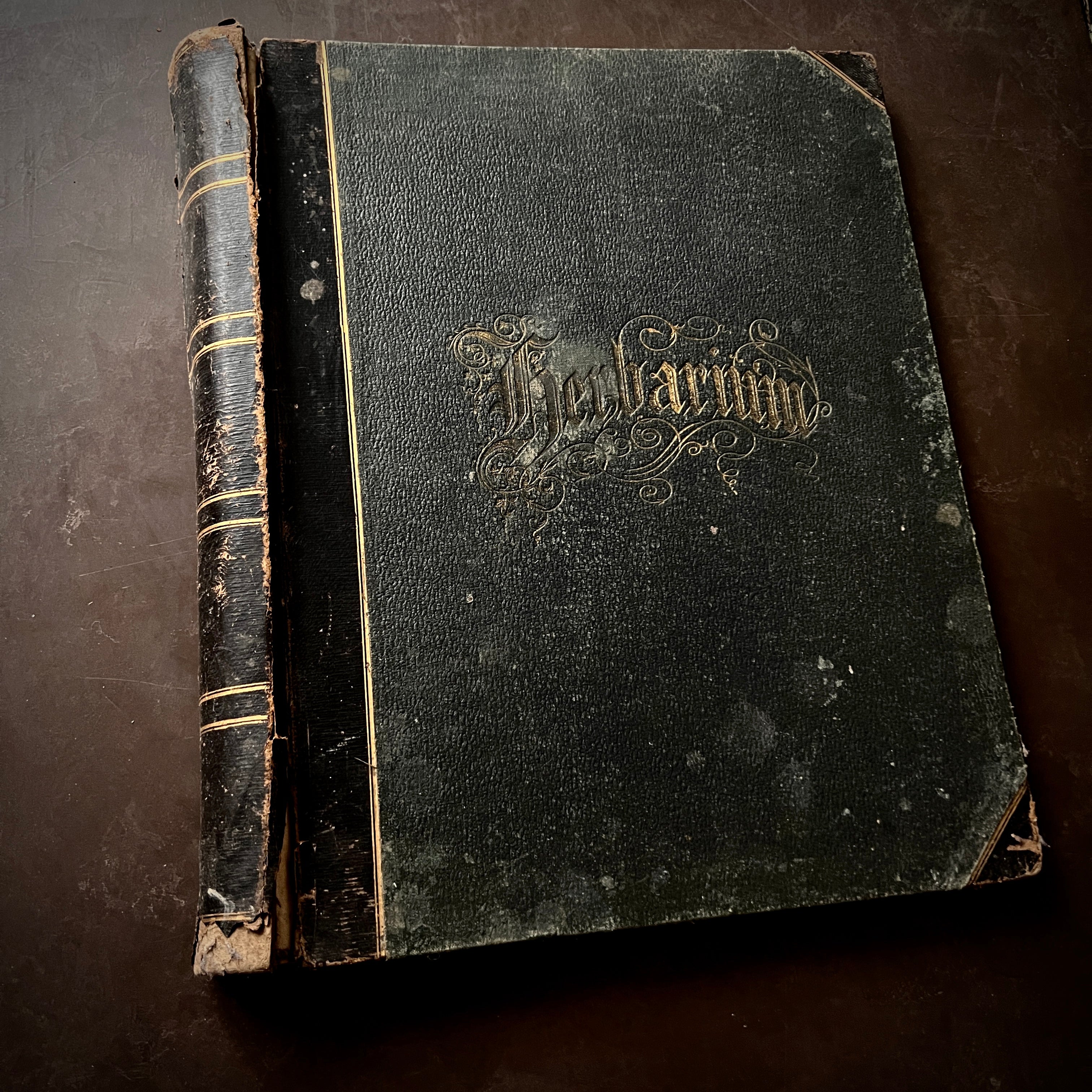 Antique Large Herbarium Binding – Honey Bee Mill