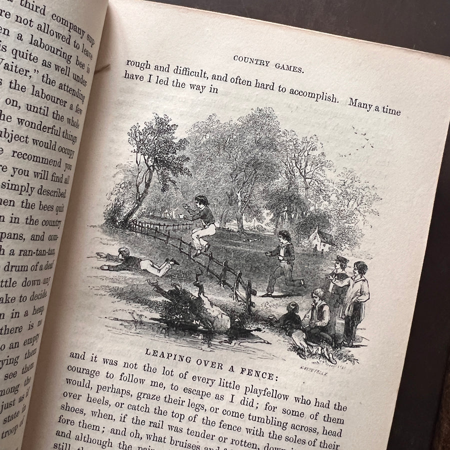 c.1859 - The Country Year Book: Descriptive of the Seasons, Rural Scenes and Rustic Amusements; Birds, Insects, and Quadrupeds