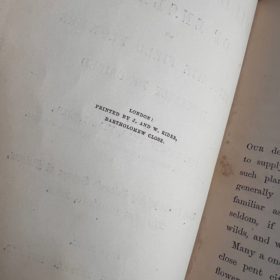 The Wild Flowers of England (1859) | With Hand-Painted Plates