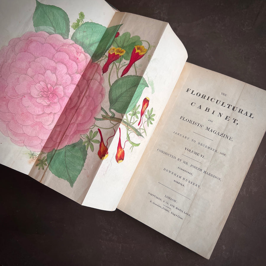 The Floricultural Cabinet and Florist’s Magazine | Fine Binding — Volume for 1838, Hand-Coloured Botanical Plates, Joseph Harrison (1830s–1840s)