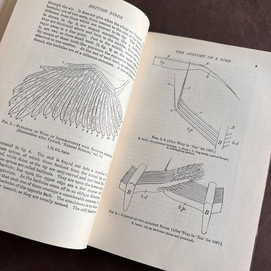 British Birds By W.H. Hudson (1926) | Half Leather Prize Fine Binding