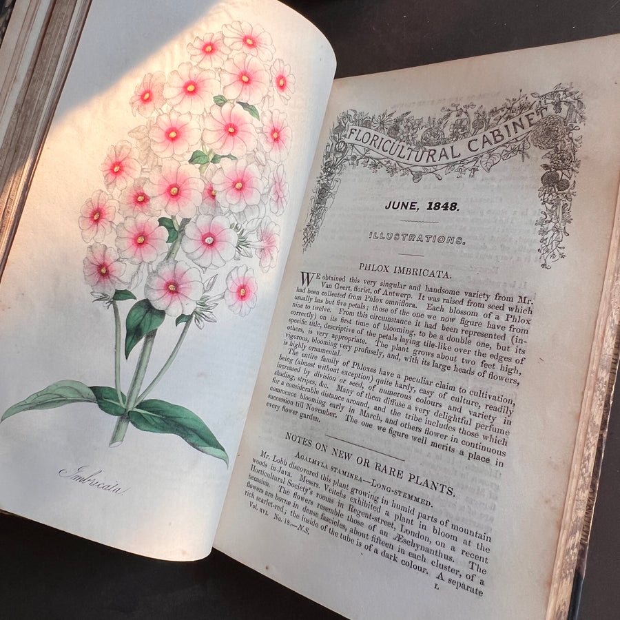 Floricultural Cabinet Book and Florist’s Magazine (1848) | With Hand-Colored Plates