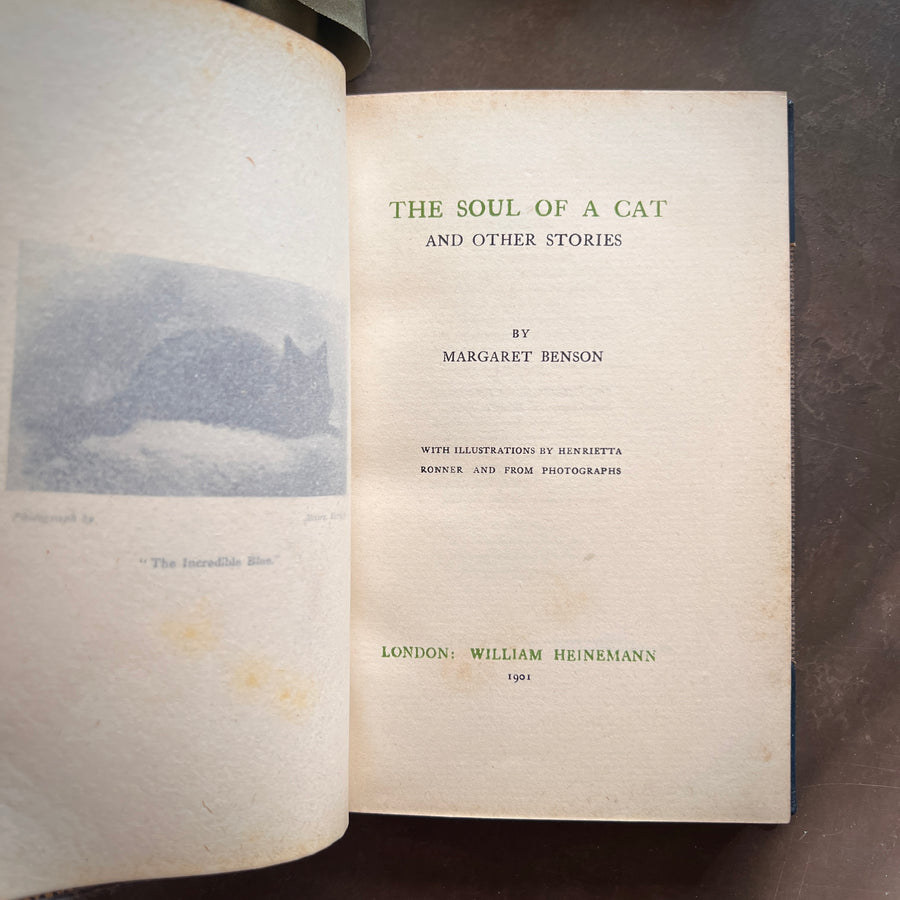 The Soul of a Cat and Other Stories — Margaret Benson (1901) | Fine Custom Binding with Marbled Endpapers