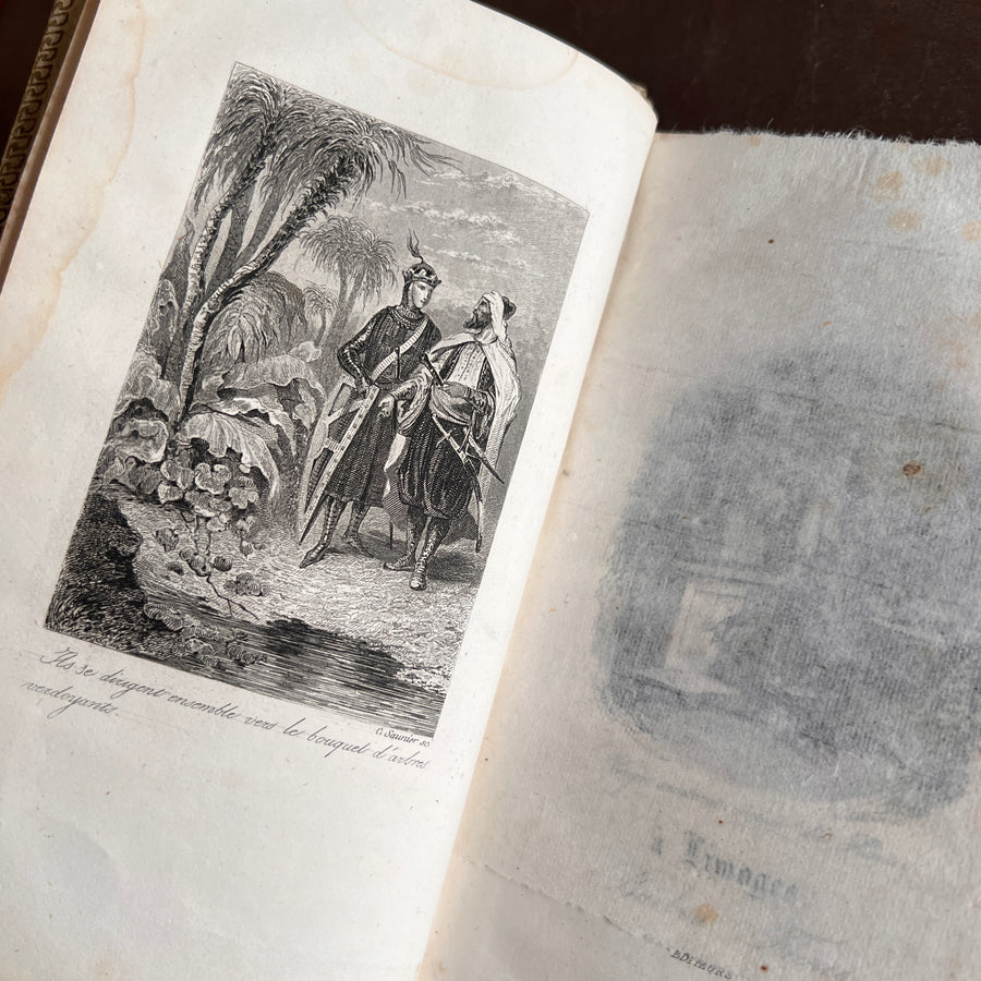 Henri de Lusignan ou L’Anneau de Richard Coeur-de-Lion (1852) | Ornate Cartonnage Romantique Binding with Hand-Colored Floral Design