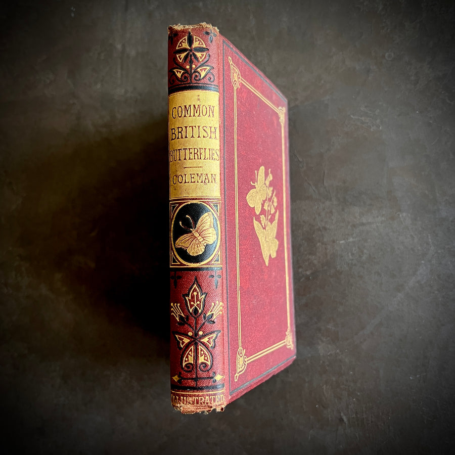 British Butterflies; Figures and Descriptions of Every Native Species by W.S. Coleman (c.1870s-1880s)