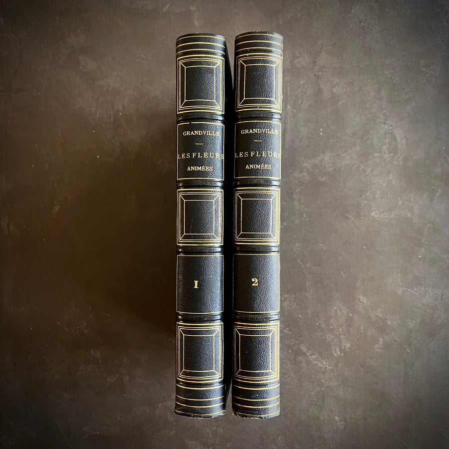 1867 Les Fleurs Animées – Grandville’s Botanical Anthropomorphism Masterpiece l 2-Volumes