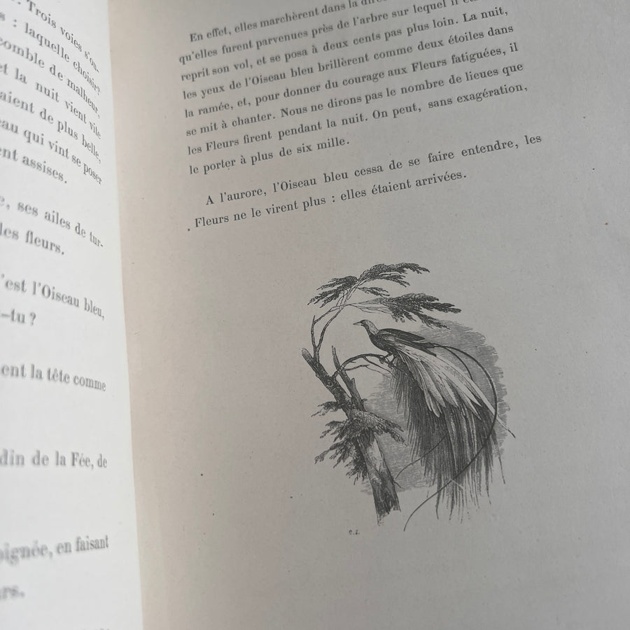 1867 Les Fleurs Animées – Grandville’s Botanical Anthropomorphism Masterpiece l 2-Volumes