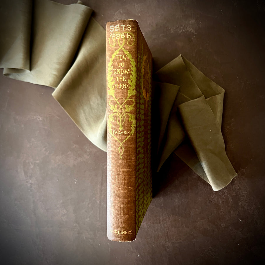 How To Know The Ferns: A Guide to the Names, Haunts, and Habits of Our Common Ferns by Frances Theodora Parsons | Illustrated | 1899