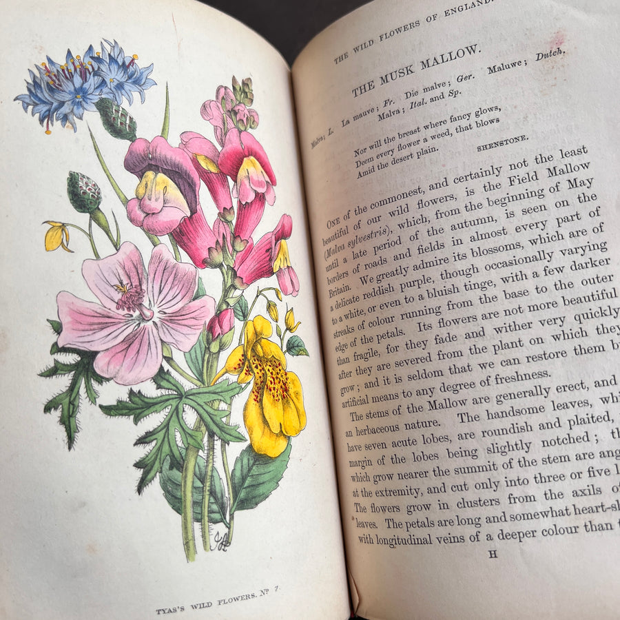 The Wild Flowers of England (1859) | With Hand-Painted Plates