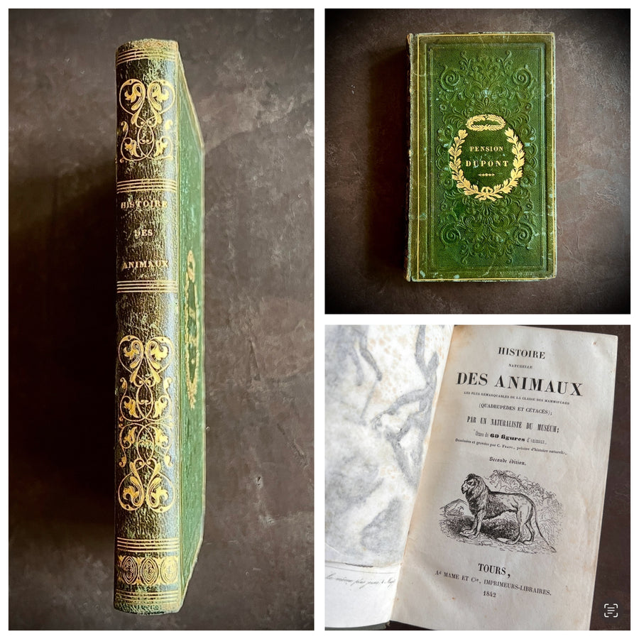 Histoire Naturelle des Animaux | 1842 |Green Gilt “Pension Dupont” Binding | Illustrated