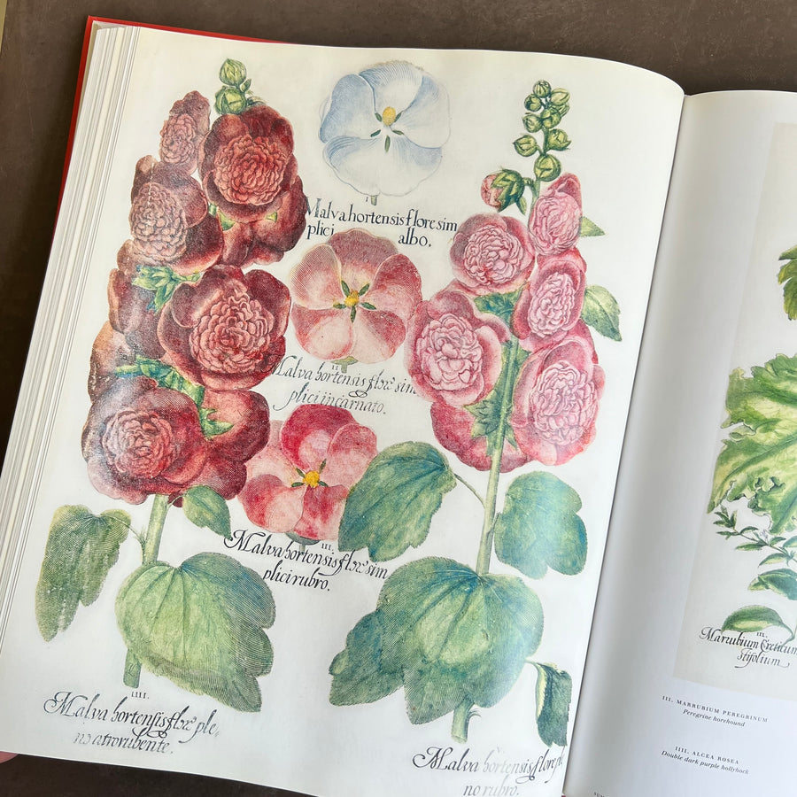 Botanical Pattern Book 2007 - The Book of Botanical Prints; The Complete Plates – Honey Bee Mill