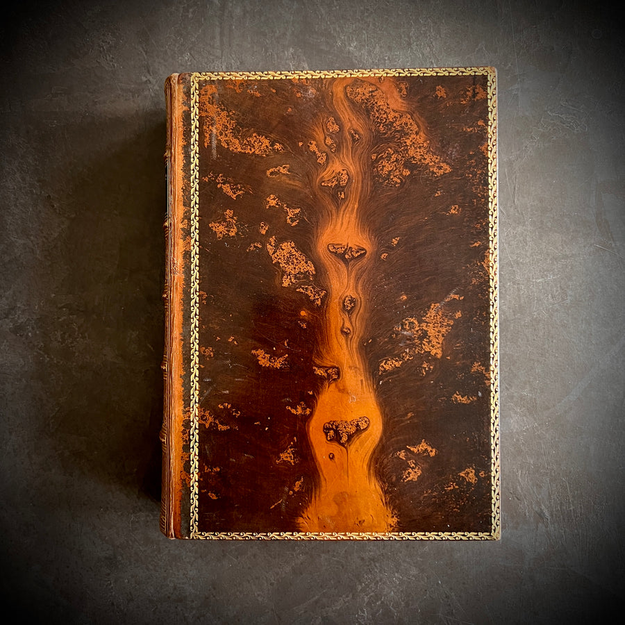 Poetical Works of Alfred Lord Tennyson — The Albion Edition (1902) | Fine Tree Calf Binding with Gilt & Marbled Endpapers