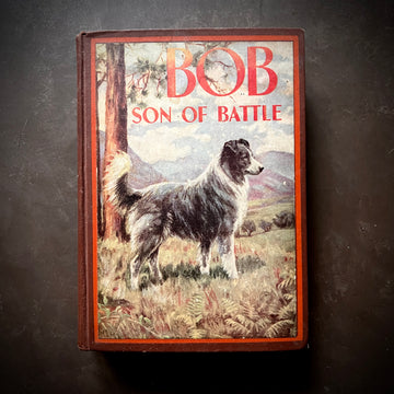 1898 - Bob the Son of Battle