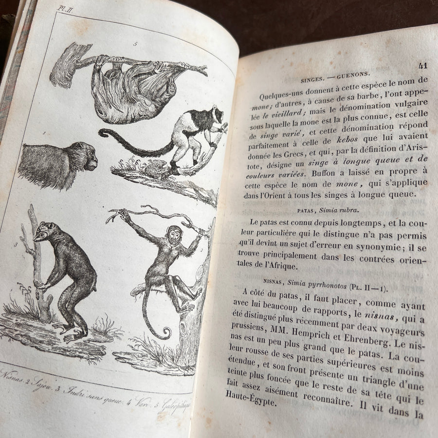 Histoire Naturelle des Animaux | 1842 |Green Gilt “Pension Dupont” Binding | Illustrated