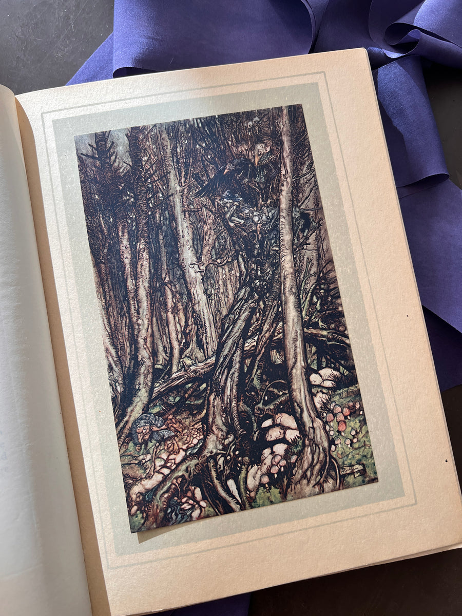 Undine by de la Motte Fouque | 1909 1st Edition | Illustrated by Arthur Rackham