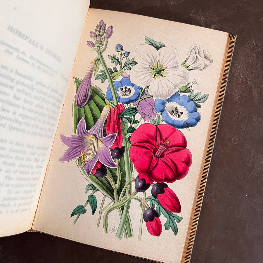 c.1853 - Flowers From Foreign Lands; Their History and Botany