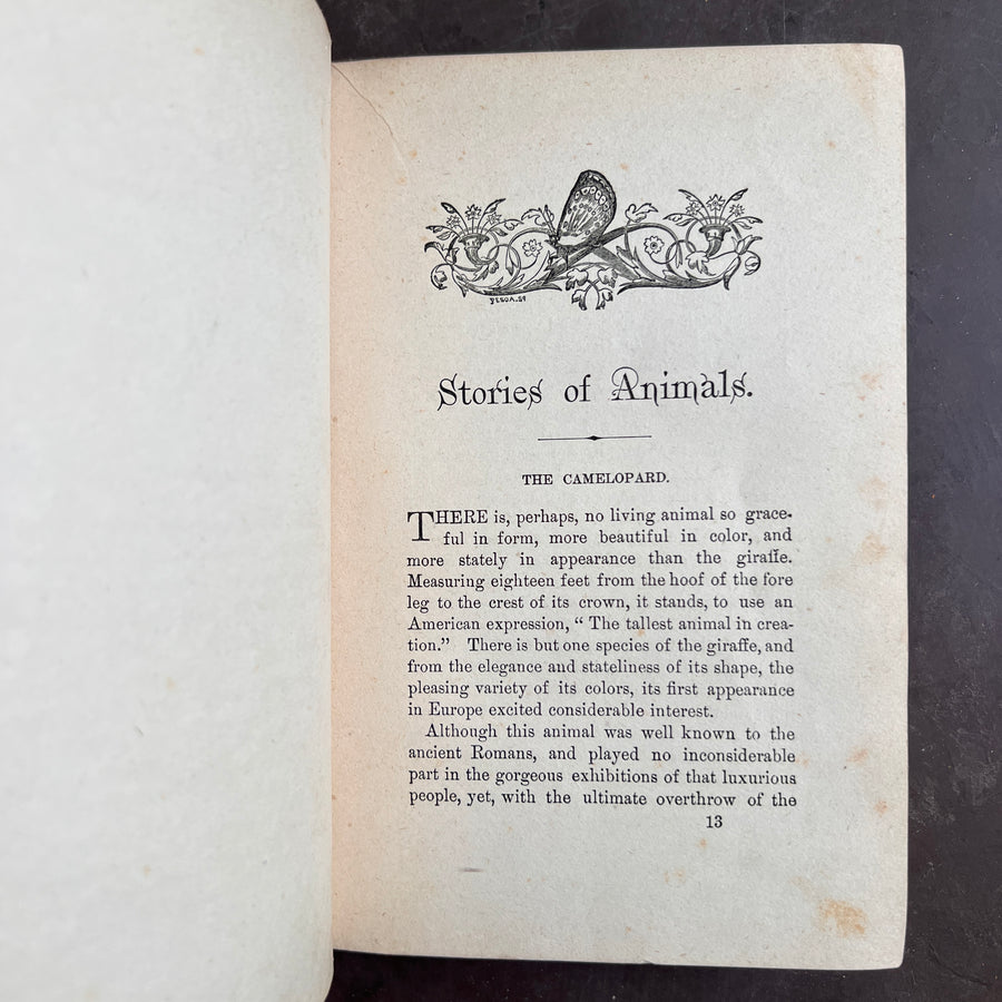 1889 - Stories About Animals