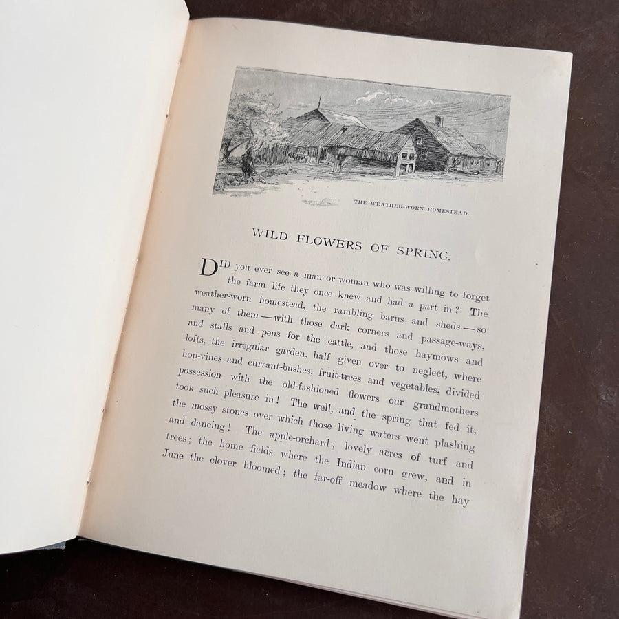 Wild Flowers and Where They Grow (1882)