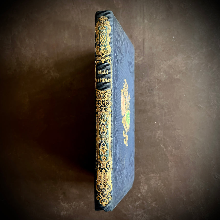 Choix de Beaux Exemples de Dévouement by Abbé Laurent | 1852