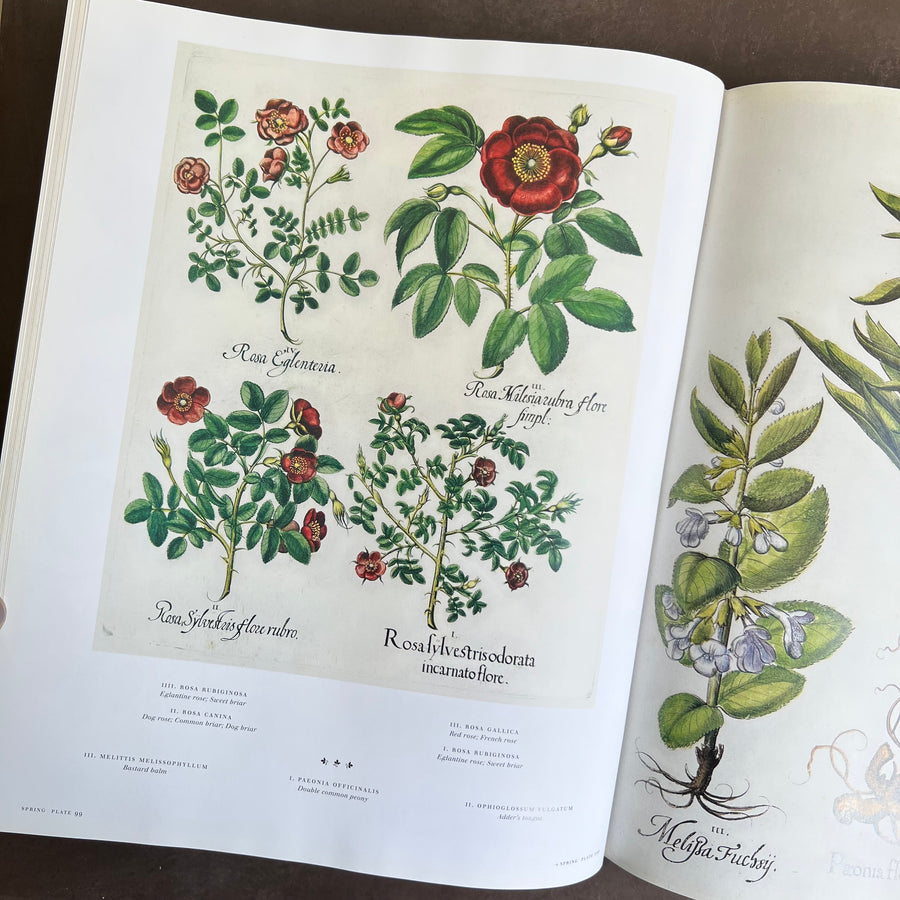 Botanical Pattern Book 2007 - The Book of Botanical Prints; The Complete Plates – Honey Bee Mill