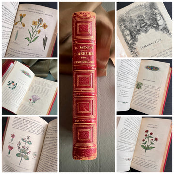 1867 - L’ Herbier des Demoiselles Traite Complete De La Botanique