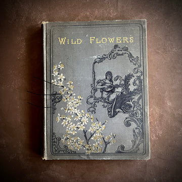 Wild Flowers and Where They Grow (1882)
