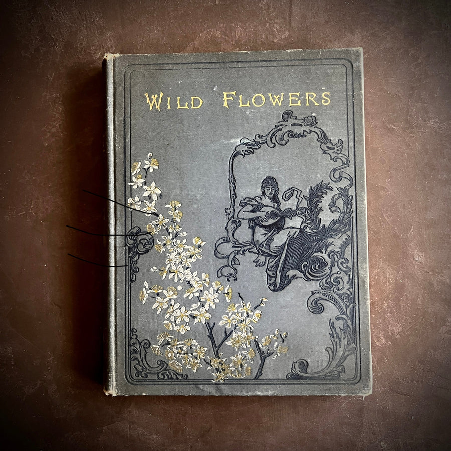 Wild Flowers and Where They Grow (1882)