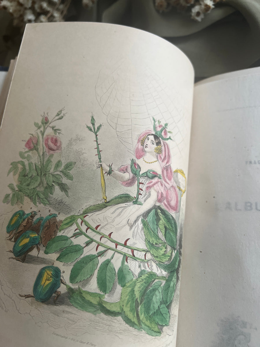 1867 Les Fleurs Animées – Grandville’s Botanical Anthropomorphism Masterpiece l 2-Volumes