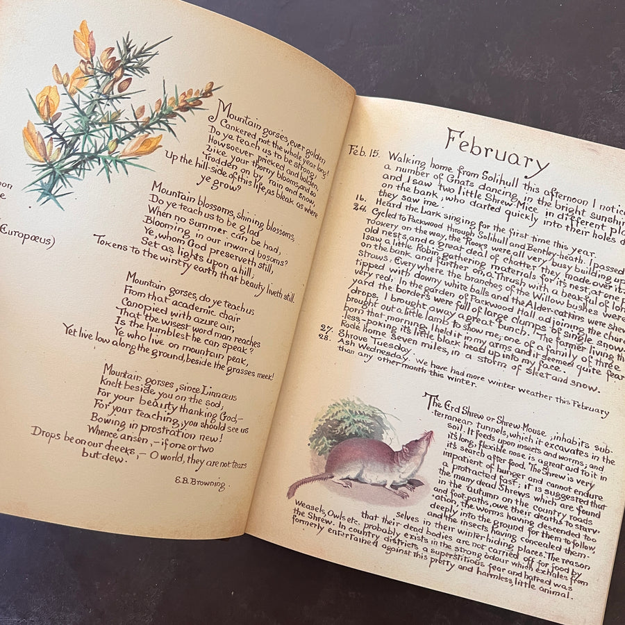 The Country Diary of An Edwardian Lady by Edith Holden, (1979) | Illustrated Nature Diary