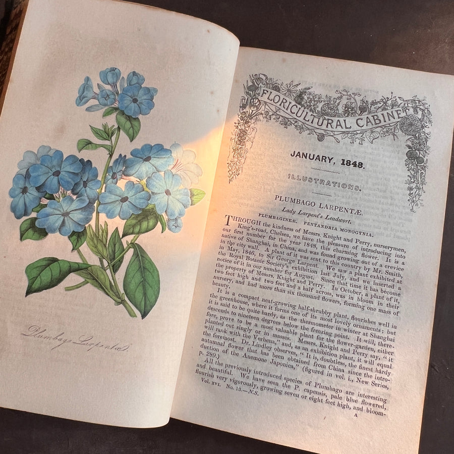 Floricultural Cabinet Book and Florist’s Magazine (1848) | With Hand-Colored Plates
